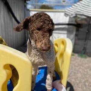 Meet your Posher, Jo-anne